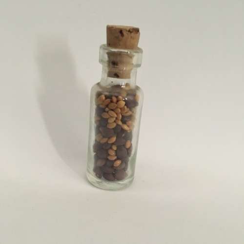 Miniature Glass Bottle of Seeds